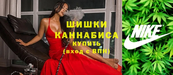 тгк Пересвет