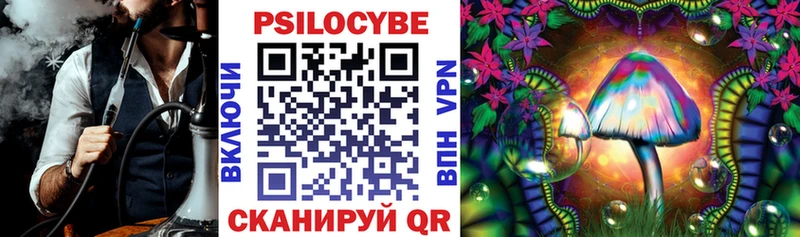 Псилоцибиновые грибы Psilocybe  купить наркоту  Волчанск 